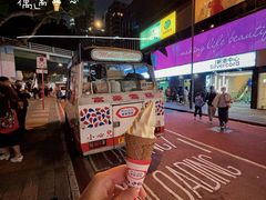 -富豪雪糕车流动点(尖沙咀店)