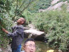 -秦岭风景区