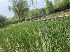 -太子山公园(园东路)