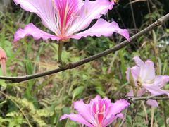 -田心森林公园
