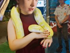 -清迈夜间动物园