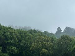 -老君山