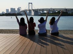 -台场海滨公园船码头