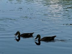 -湖畔居茶楼(湖滨店)