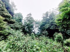 -青城山
