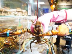 -超级物种(省府店)