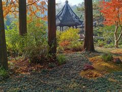 -上海醉白池公园