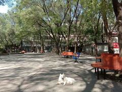 -蒲黄榆(地铁站)