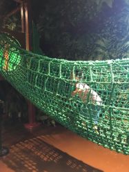 -奇幻丛林(佛罗伦萨小镇店)