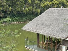 -点都德(广州白云山景区南门店)