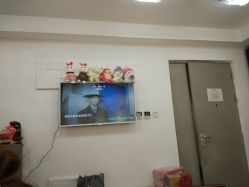 -恐龙·美甲美睫