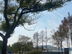 -蠡湖中央公园