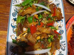 -柴窝堡22号辣子鸡·传承新疆菜