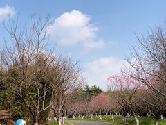 -上海海湾国家森林公园