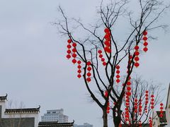 -洋湖国家湿地公园