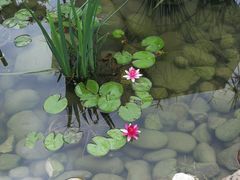 -墨居上隐·院子里火锅(峨眉店)