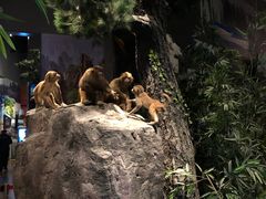 -长江文明馆