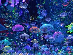 -天津梵高星空艺术馆(天河城旗舰店)
