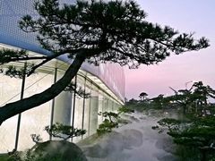 -罗红摄影艺术馆