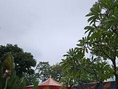 -金砂公园