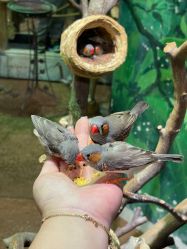 -Zoolung Zoolung动物主题公园(海信广场店)