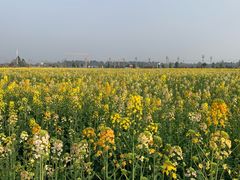 -中国天府农业博览园