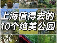 -上海共青森林公园