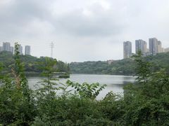 -重庆彩云湖湿地公园