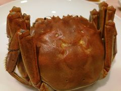 -王宝和酒家(黄浦店)