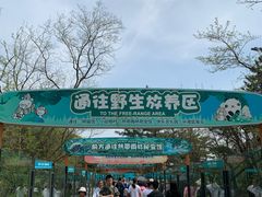 -大连森林动物园