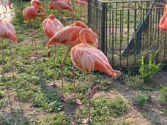 -秦皇岛野生动物园