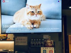 点击看大图 -G-STEPS舞蹈工作室