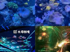 -正佳极地海洋世界