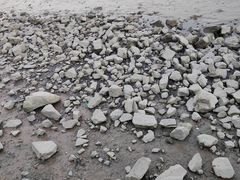 -深圳湾公园(南山区)
