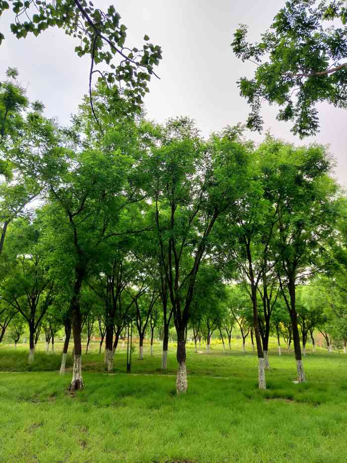 永顺公园-"大众点评推荐的公园,周四中午带孩子来,西.