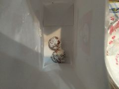 -黑孩油栗皇(南阳路店)