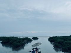 -北海金海湾红树林生态旅游区