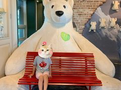 -济州岛泰迪熊博物馆