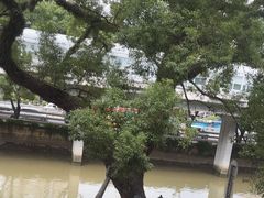 -广东胜利宾馆西关粤中餐厅