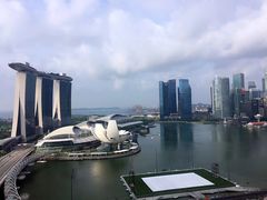 -夏苑(新加坡丽思卡尔顿美年酒店)