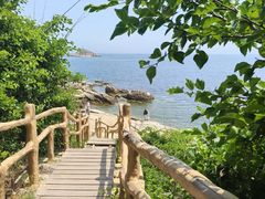-养马岛旅游度假区