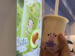 -一只酸奶牛(春熙路店)