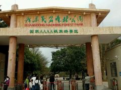 -广东茂名森林公园
