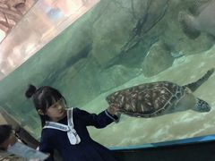 -福州罗源湾海洋世界旅游区