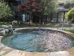 -中家鑫园温泉酒店鑫悦汤泉