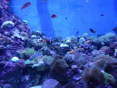 -成都浩海立方海洋公园