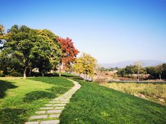 -良渚古城遗址公园