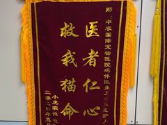 -中农国际动物医院24小时·猫科·骨科·急重症中心