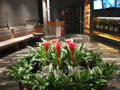 -大鸭梨烤鸭(枣园店)