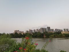 -大亚湾红树林城市湿地公园